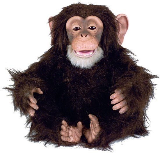 Hasbro Šimpanz
