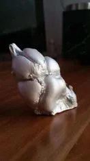 Vzpomínkový odlitek 3D odlitek psí tlapky
